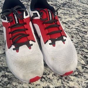UGA Nike Pegasus